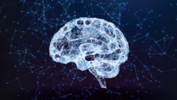 2026 Stroke Symposium: From Code Stroke to Life Reclaimed
