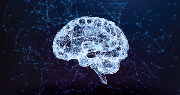 2026 Stroke Symposium: From Code Stroke to Life Reclaimed